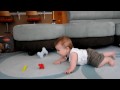 Daryoosh Crawling
