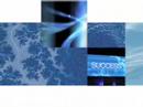 Gartner Spring Symposium Web Promo - 2007