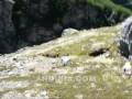 videos de Cascadas y río de montaña desde precipicio