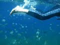 Redang Snorkelling