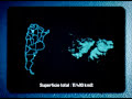 Malvinas tan lejos,tan cerca.Falklands so far,so close(1-7)