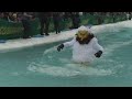 Slush Cup 2007 at the Alyeska Resort