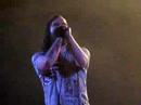 bert mccracken