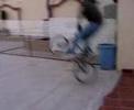 talivan bmx
