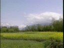 Kashmir Travel Doc  Part 04