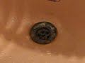 Sink Centipede