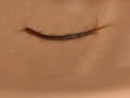 we have a centipede living in our sink. it comes out every time we turn off the tap.