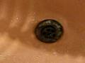 Sink Centipede