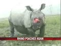 Kaziranga hosts the play of death