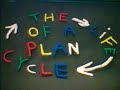 life cycle of a plant