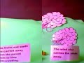 life cycle of a plant
