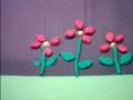 life cycle of a plant