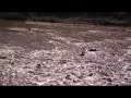 Kayaking the Upper salt river