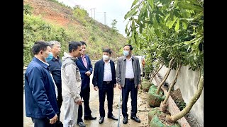 Phó Bí thư TT Thành ủy Nguyễn Chiến Thắng tham quan mô hình trồng cây Mắc ca tại p.Vàng Danh