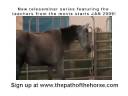 videos de Horse Lessons Teleseminar Series - starting Jan 2009