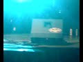 MotoFest-Futog-Ivana-1.mp4