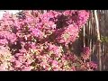 Los Barriles RV and Casita, East Cape RV Resort BAJA