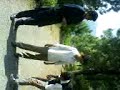 PTV shugal trip 8
