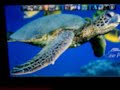 EeePC+Touch Screen+CarPC