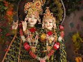 I lost my heart in Vrindavan