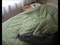 Untitled Maneuvres / animation
