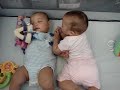 fighting in the play pen