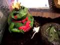 Pac-Man-Frog-eats-hi