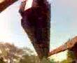 GIRANDO EN HURACAN
