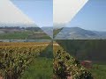 C�tes de brouilly