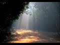 Trance - I Dream