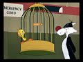 Looney tunes tweety l'oiseau