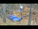 Fenelon Falls - Rake Up Leaves