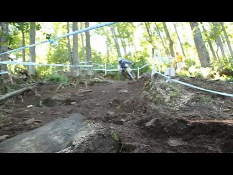 chain reaction cycles