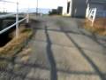 Bianchi Lupo ?090108 ?????????? #5
