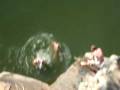 2 year old jumping off pinny cliffs