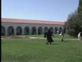 videos de Zorro Jr.