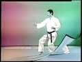 Shito Ryu Karate Tomiyama Original Volume 1