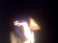 Dir en grey z�nith