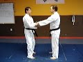 Nihon Goshin Aikido