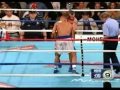 gatti ward trilogy highlight by iceveins