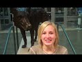 ar.12.03.clip09.JordanHarvey.wmv