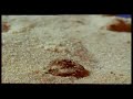 Oro Blu (DocuTrailer)