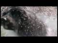 videos de Oro Blu (DocuTrailer)