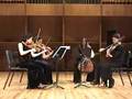 Pannonia Boundless by Aleksandra Vrebalov; Pangea String Quartet