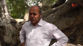 قرية ام خالد- القرية الفلسطينية الساحلية المهجرة في قلب نتانيا قرية ام خالد- القرية الفلسطينية الساحلية المهجرة في قلب نتانيا