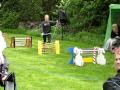 Bellas Ch. All Star - Elite lige. Breeders 2010, Sverige