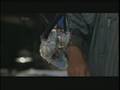Blurring The Line Between Humans And Robots