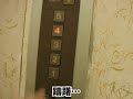 好奇心が抑えられなくなった瞬間 好奇心が抑えられなくなった瞬間