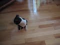 another day 3 video!