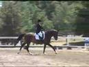 this video is elizabeth zima's ride on garrison winning the novice division raac championship at training level 4 with a 67.4 percent. congrats elizabeth & teddy!